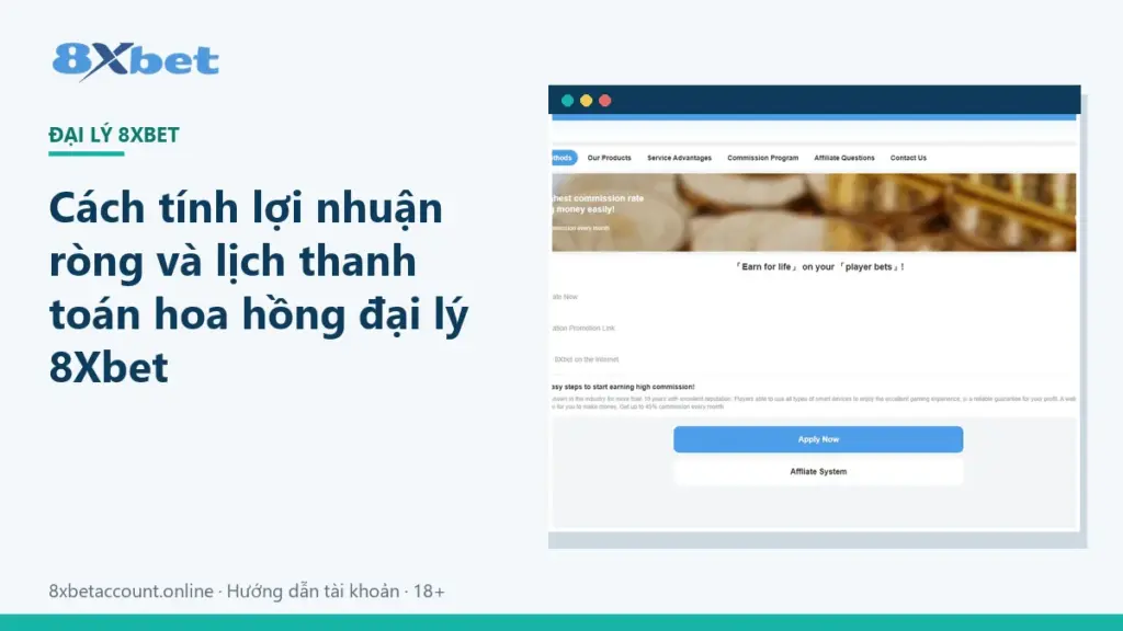 Ảnh bìa cách tính lợi nhuận ròng và lịch thanh toán hoa hồng đại lý 8Xbet